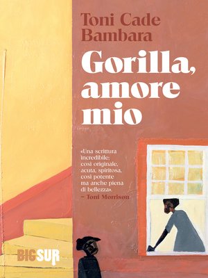 cover image of Gorilla, amore mio